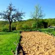 le tribunal Pétanque