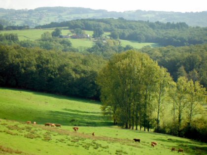 La vue sur la vallée depuis Labrot 
